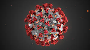 Polmonite da nuovo Coronavirus - Raccomandazioni